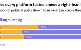 In Germany, social media algorithms are pumping out huge amounts of far-right, pro-AfD content