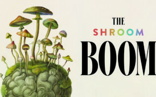 Putting the ‘I’ in storytelling
