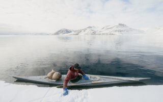 On the Trail of the Narwhal