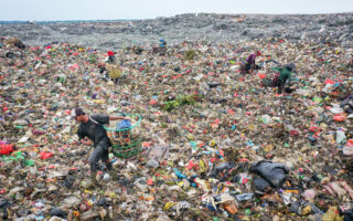 Plastics Crisis Intrudes on Paradise