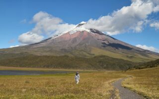 High-impact storytelling in college admissions essays, and what we can learn from it