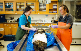 Getting the story: How 7 writers found their idea and main characters