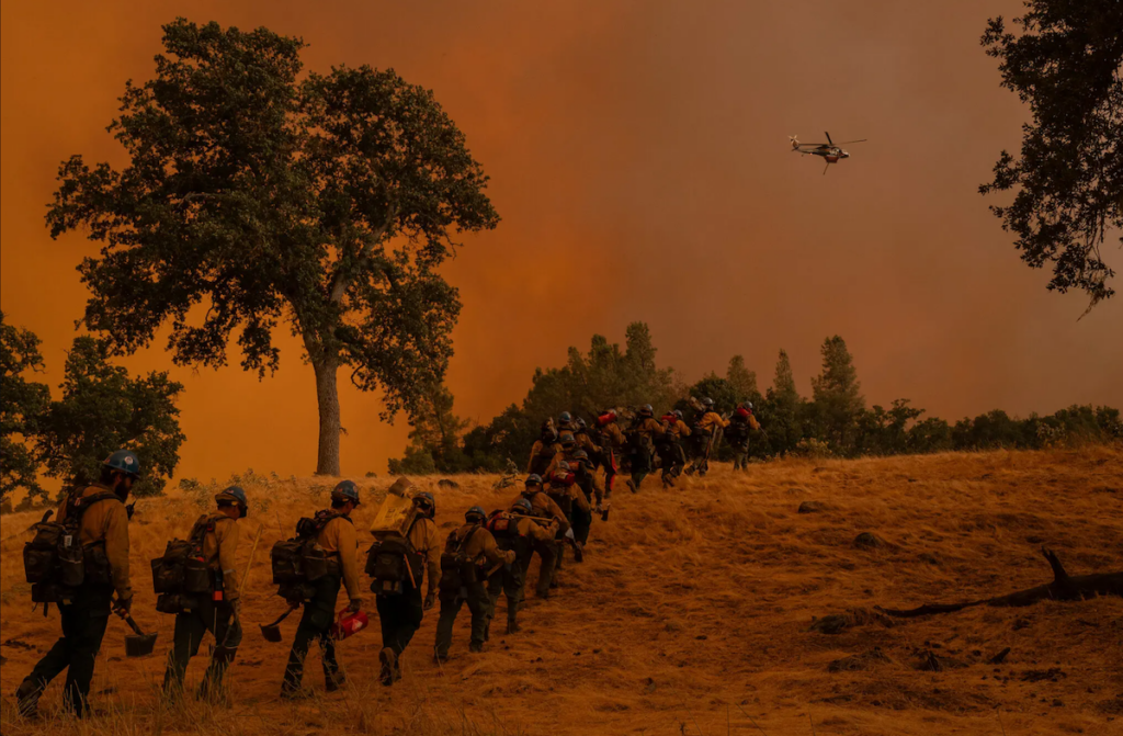 U.S. Forest Service firefighters from the Sierra Interagency Hotshot Crew battle the Gifford fire in San Luis Obispo County, Calif.