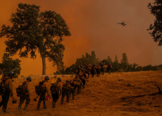 “Exposed and Expendable” by New York Times reporter Hannah Dreier wins the 2025 Worth Bingham Prize for Investigative Journalism