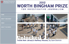 2012 Bingham Award thumbnail