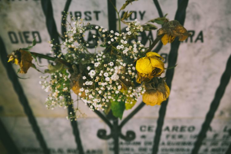 Flowers on a grave marker