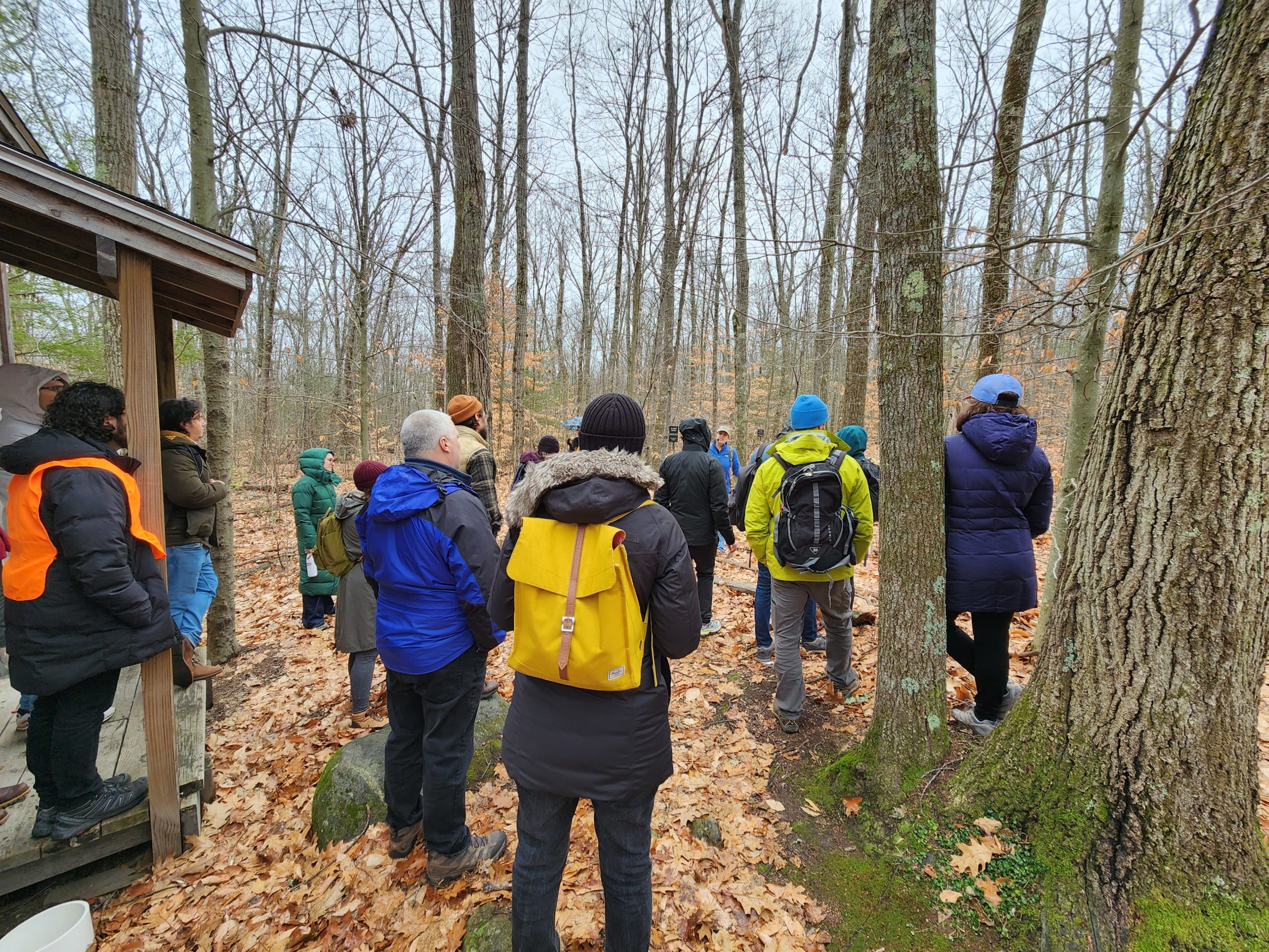 A group of 2023 Nieman Fellows and affiliates visit the Harvard Forest on Dec. 6, 2022.